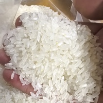 东北大米新米批发一件代发产地一手货源稳定供应市场量大从优