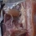 全熟牛头肉一手货源长期供应全国发货可视频