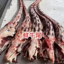 牛尾厂家直发对接电商市场商超可视频