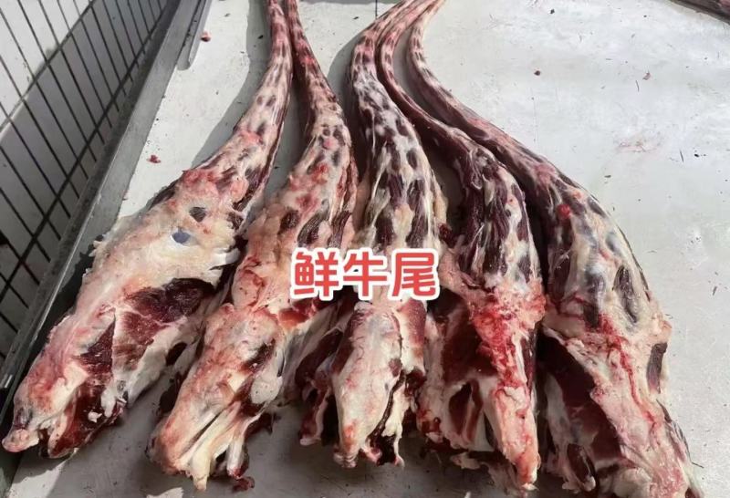 牛尾厂家直发对接电商市场商超可视频
