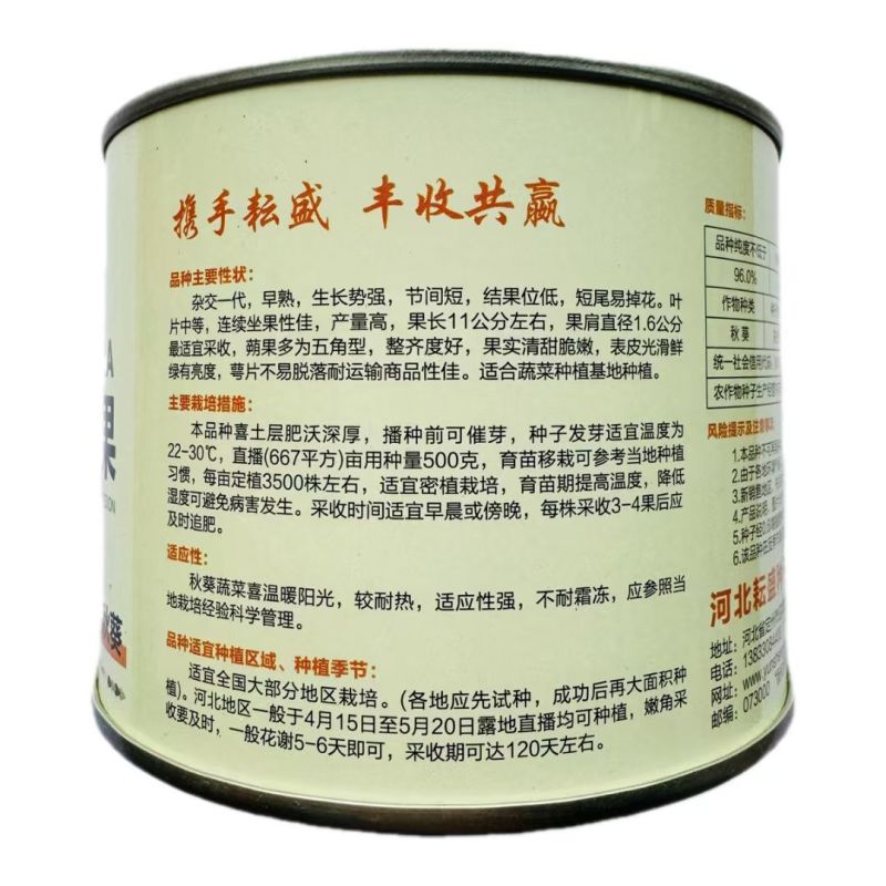 油绿水果秋葵种子早熟节间短果实清甜脆嫩光滑鲜绿