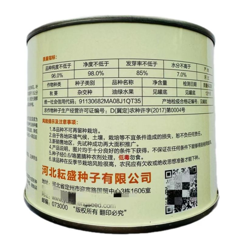 油绿水果秋葵种子早熟节间短果实清甜脆嫩光滑鲜绿