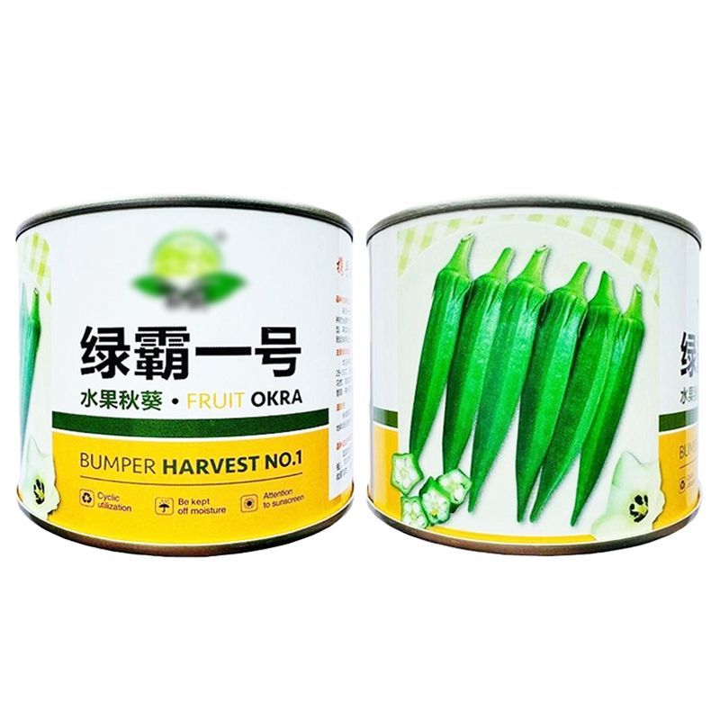 绿霸一号水果秋葵种子早熟耐老化表皮光滑深绿有亮度