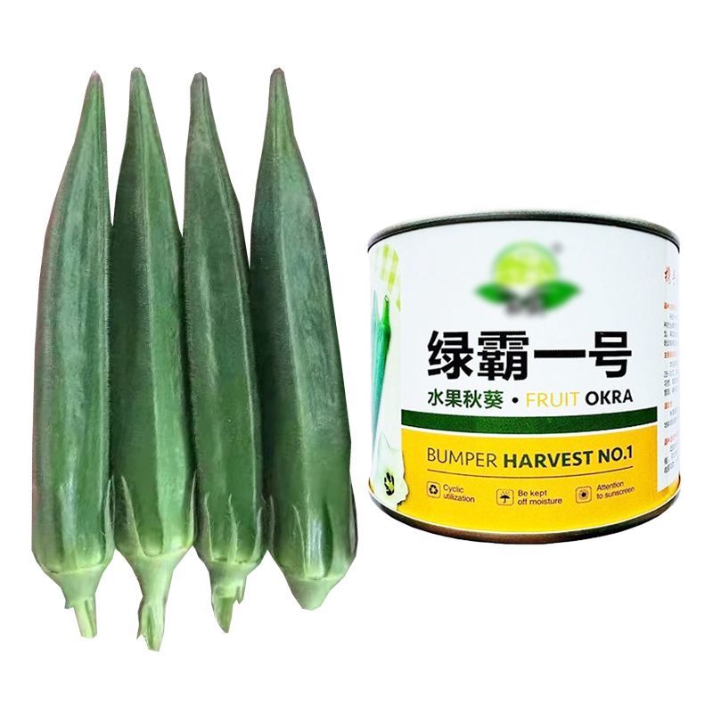 绿霸一号水果秋葵种子早熟耐老化表皮光滑深绿有亮度