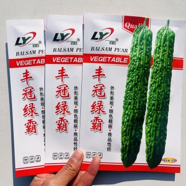 丰冠绿霸疙瘩绿苦瓜种子瓜色浓绿心腔细小甘脆微苦