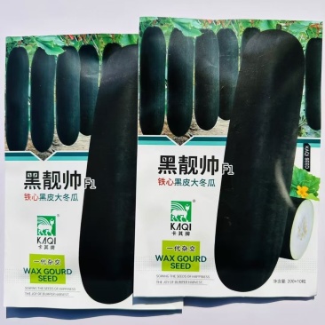黑靓帅铁心黑皮大冬瓜种子抗病易坐果转黑快空腔小