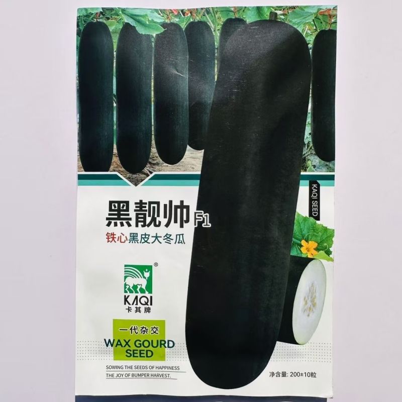 黑靓帅铁心黑皮大冬瓜种子抗病易坐果转黑快空腔小