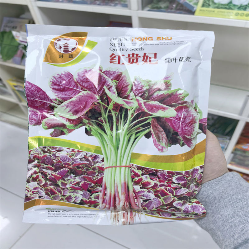 红贵妃圆叶苋菜种子红苋菜种子早熟叶色转红快