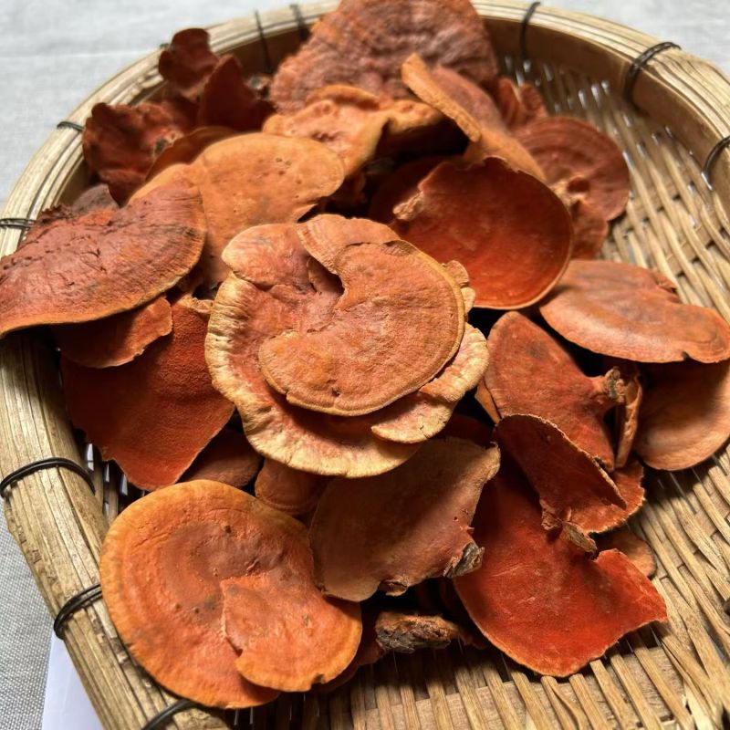 牛樟芝红栓菌血红栓菌牛樟芝产地货源一件代发