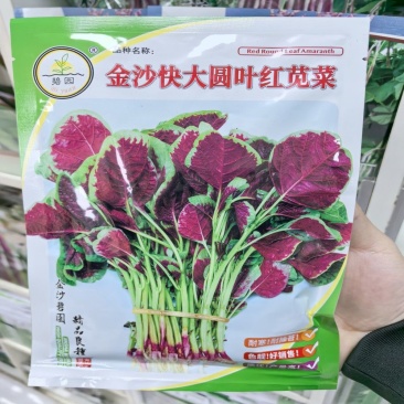 金沙快大圆叶红苋菜种子叶圆尾稍尖生长速度快耐热耐湿