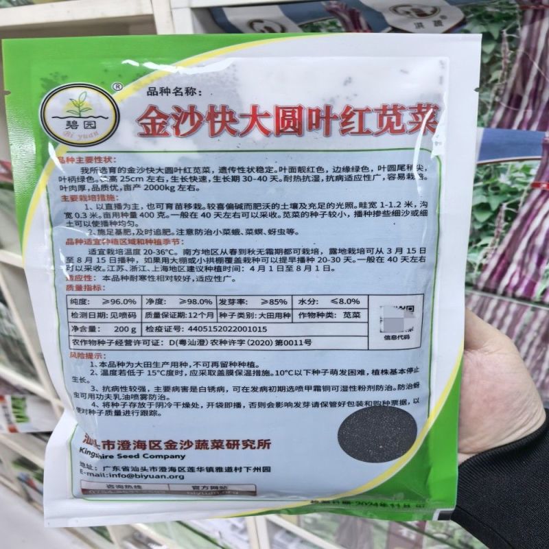 金沙快大圆叶红苋菜种子叶圆尾稍尖生长速度快耐热耐湿