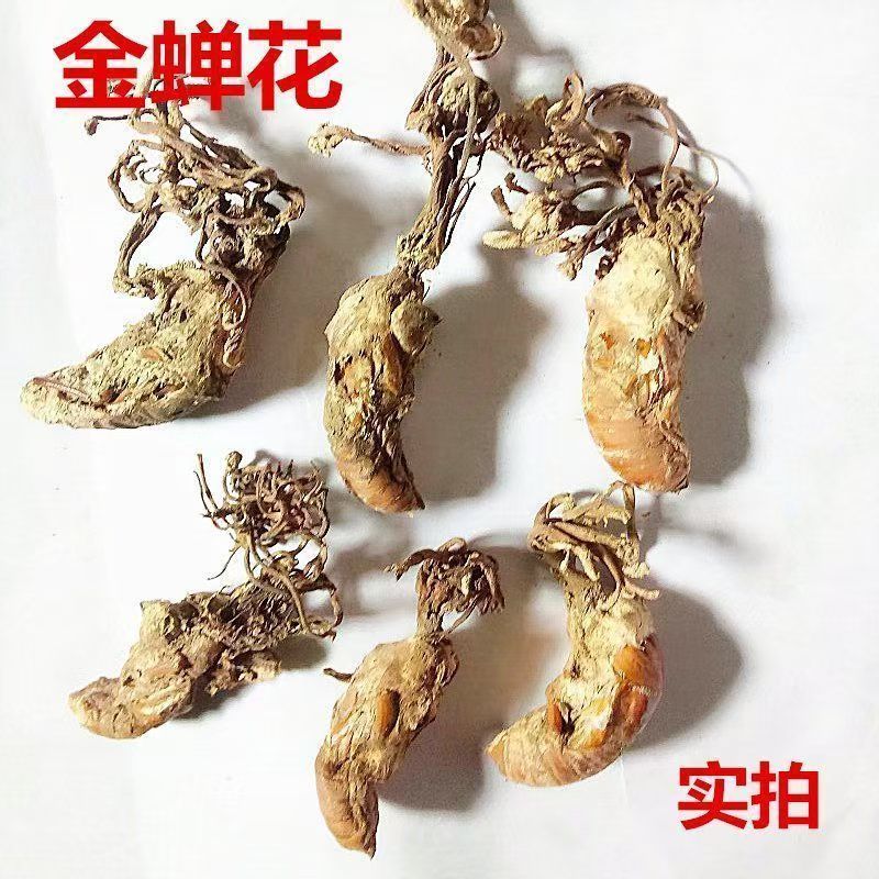 金蝉花金蝉花产地货源一件代发