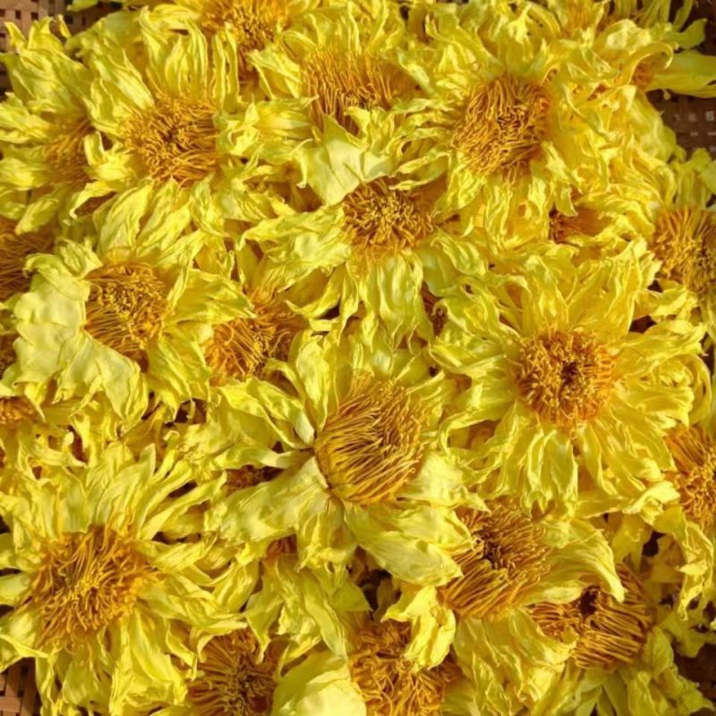 九品香水莲黄色散花