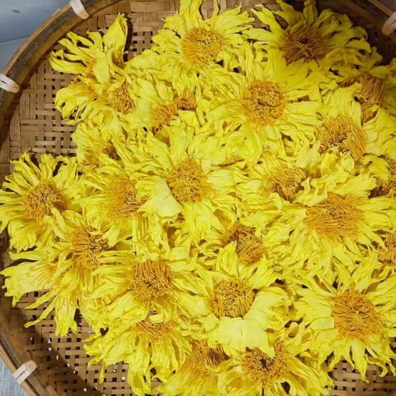 九品香水莲黄色散花
