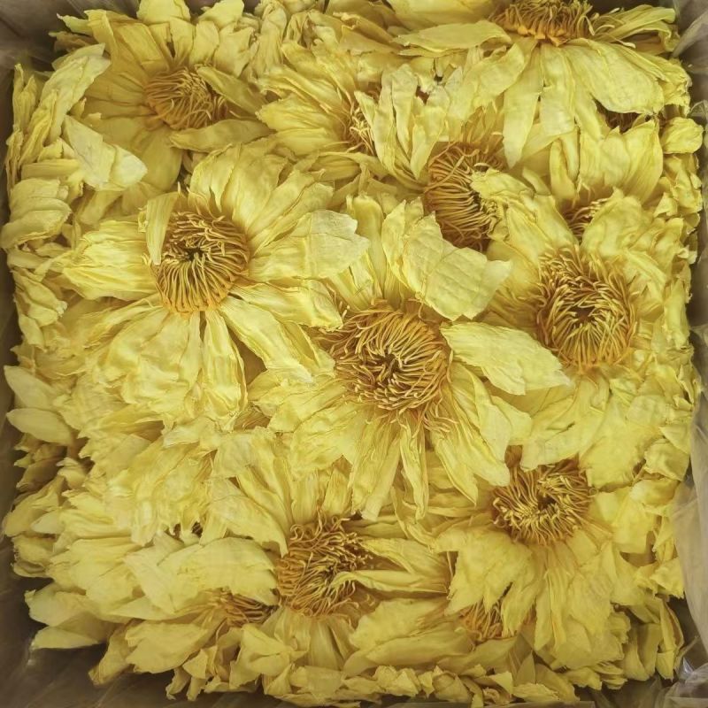 九品香水莲黄色散花