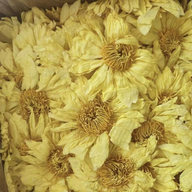 九品香水莲黄色散花