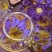 九品香水莲花紫色散花