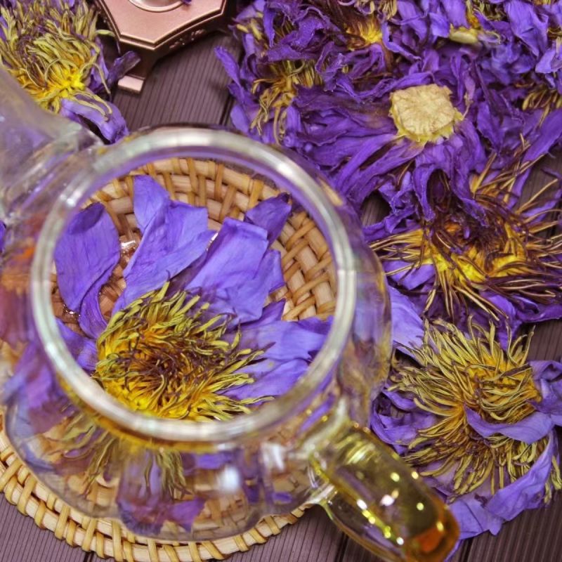 九品香水莲花紫色散花