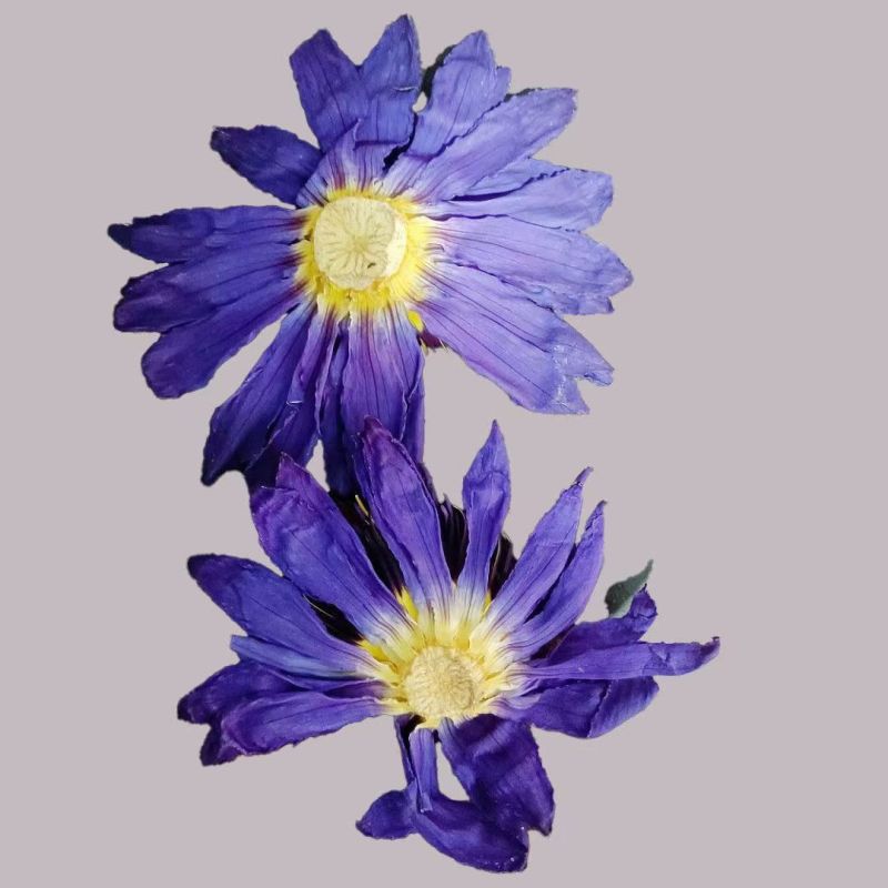 九品香水莲花紫色散花
