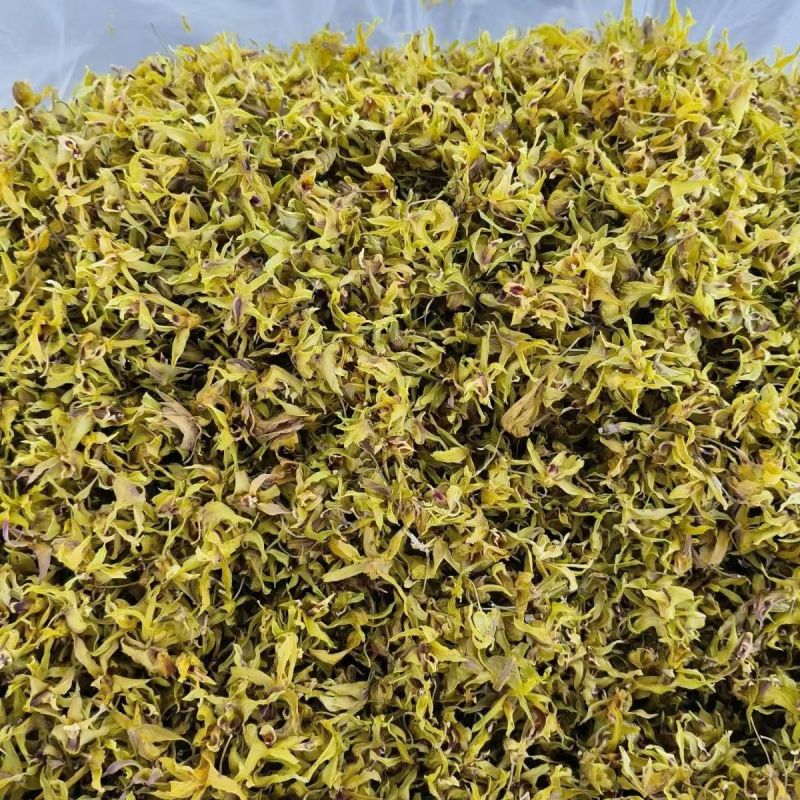 铁皮石斛花石斛花产地货源