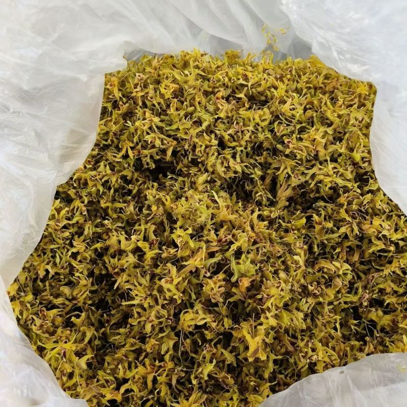 铁皮石斛花石斛花产地货源