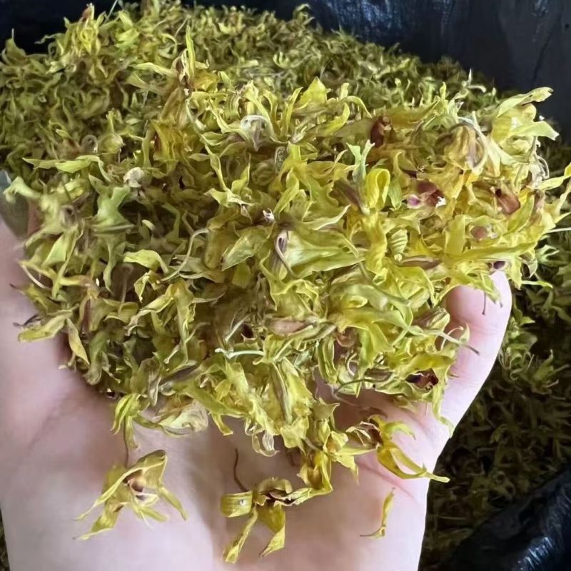 铁皮石斛花石斛花产地货源