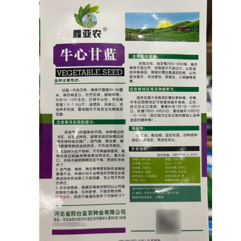 牛心甘蓝种子叶色灰绿叶球牛心单球重1.5公斤