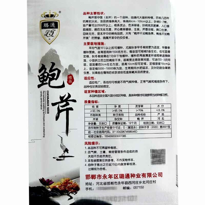 鲍芹种子实心翠绿纤维少香味浓郁无渣芹菜基地种植