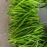 精品线椒山东临沂沂水县颜色艳丽，香辣味浓郁