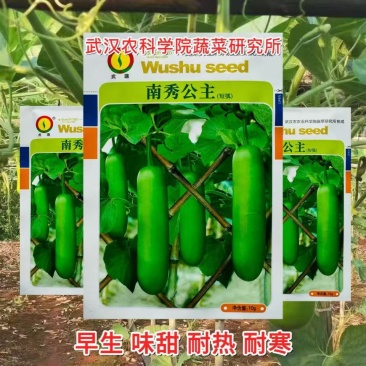 南秀公主短瓠瓜种子早熟短圆筒形耐贮运