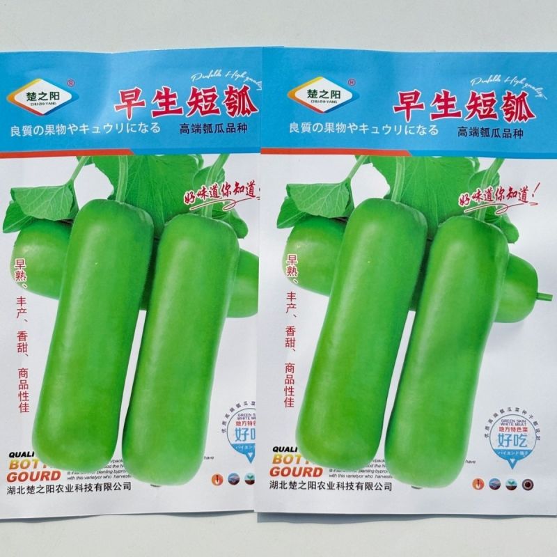 早生短瓠瓜种子早熟短棒绿油亮型果肉白色