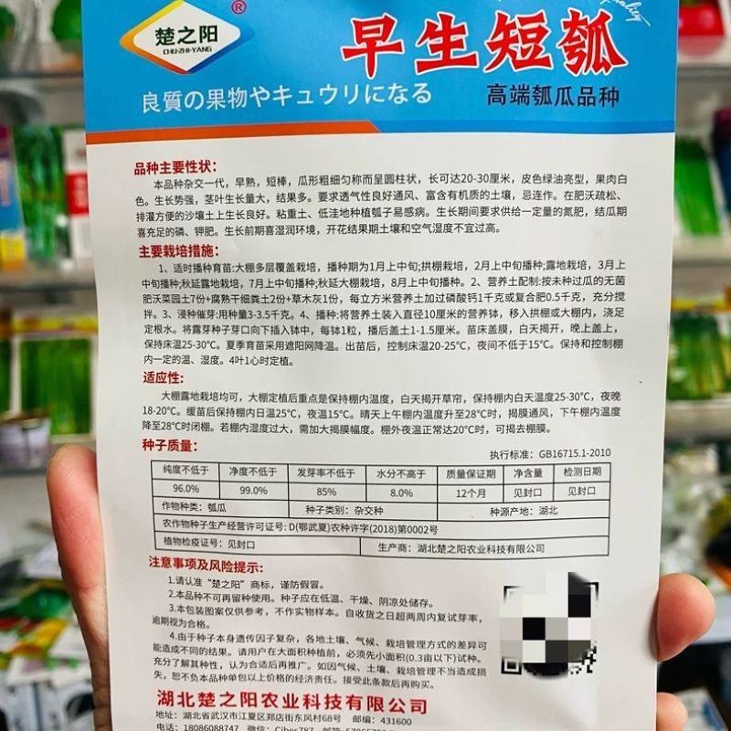早生短瓠瓜种子早熟短棒绿油亮型果肉白色