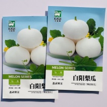 白阳梨瓜种子早熟易坐果果肉白色脐磊耐圆味甜爽口