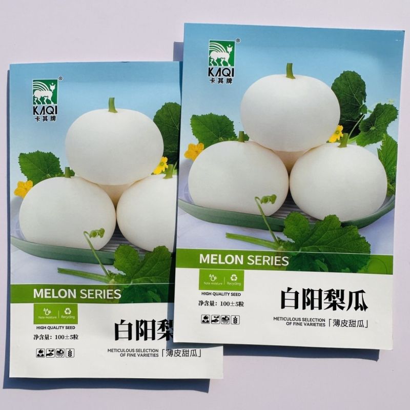 白阳梨瓜种子早熟易坐果果肉白色脐磊耐圆味甜爽口