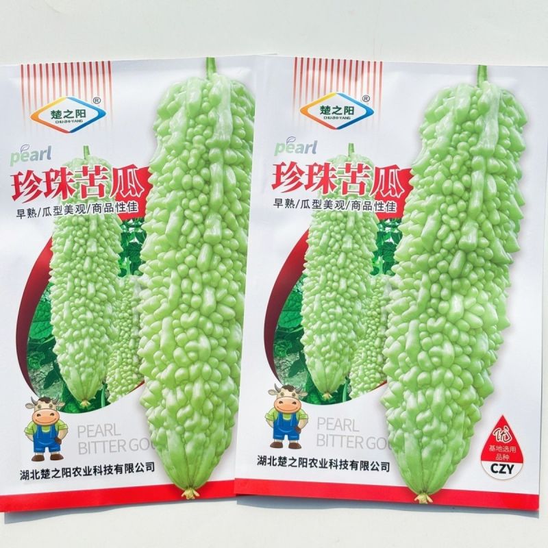 珍珠苦瓜种子早熟肉厚细脆采收期长瓜色绿白有光泽