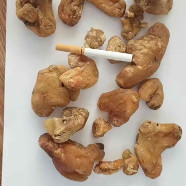 黄精个厂家直销各种规格黄精大货供农产品中药材量大从优黄精