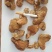 黄精个厂家直销各种规格黄精大货供农产品中药材量大从优黄精