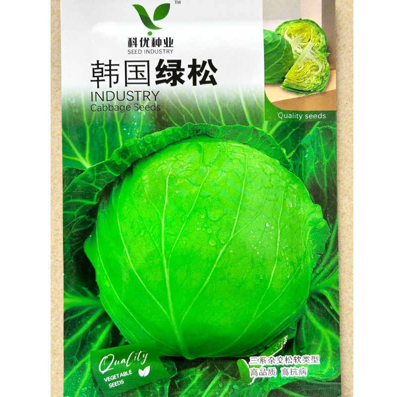 韩国绿松甘蓝种子耐热耐寒抗病松球黄芯水果型脆嫩甘甜