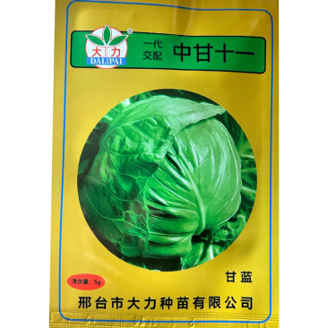 中甘二十一甘蓝种子近圆球形口感甜脆紧实耐裂