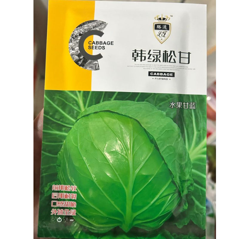韩绿松甘水果甘蓝种子前期松软后期耐裂口感甜脆