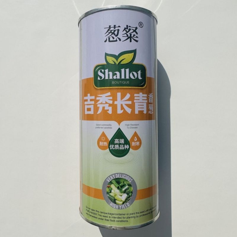 吉秀长青香葱种子耐热耐寒颜色墨绿口味浓郁