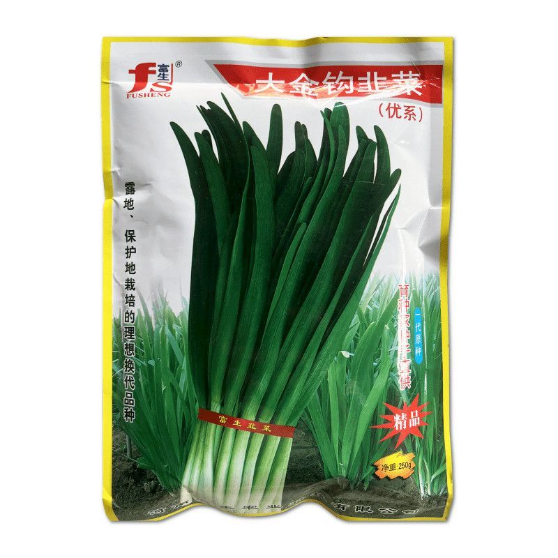 大金钩韭菜种子叶片宽厚抗热抗寒抗病抗倒伏