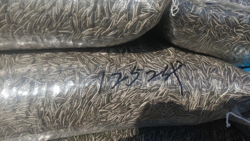 瓜子，浅力一号，大量现货速发，欢迎老板选购