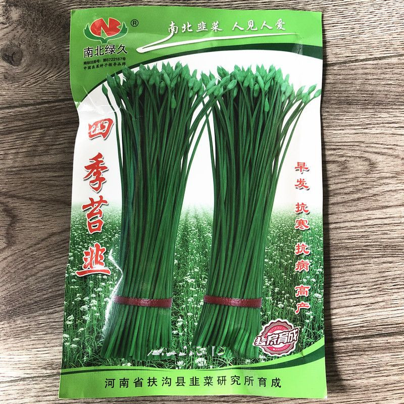 四季苔韭种子早发抗寒抗病可四季抽苔叶色浓绿抗倒伏