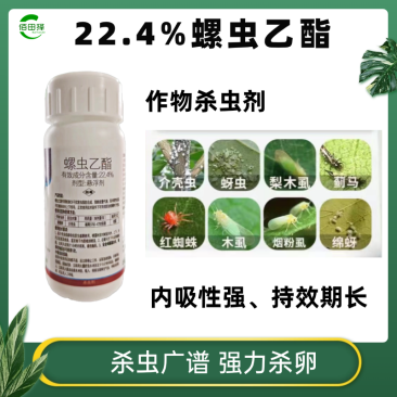 螺虫乙酯蚧壳虫蚜虫蓟马红蜘蛛药梨木虱亩旺特果树蔬菜花卉杀