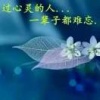 王姐机械和药材的一亩田店铺