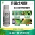 30%肟菌戊唑醇稻瘟病白粉病炭疽病锈病果树蔬菜大田杀菌