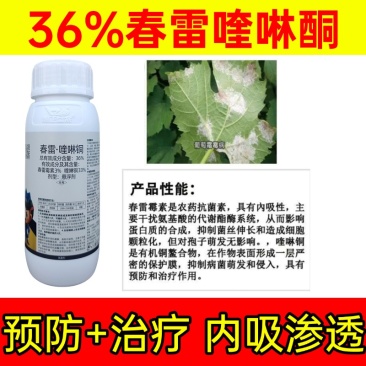 春雷喹啉铜36%新日期橘溃疡病芒果角斑病桃树穿孔病细菌性