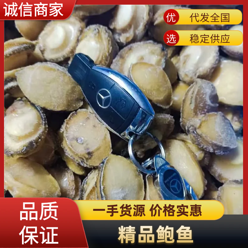 半斤27元鲍鱼肉新鲜活冻纯鲍鱼肉20-40头/斤超低价