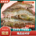 半斤才13元批发南美白对虾活体打包20-40头/斤